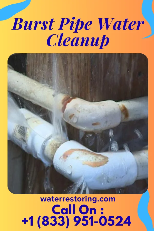 Burst Pipe Water Cleanup in Bolivia, NC
