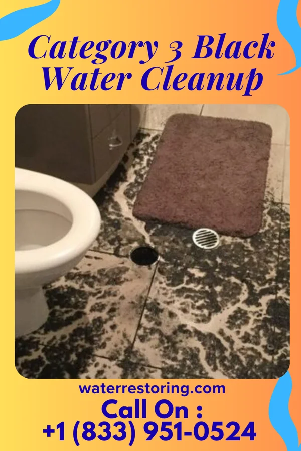 Category 3 Black Water Cleanup in Bolivia, NC