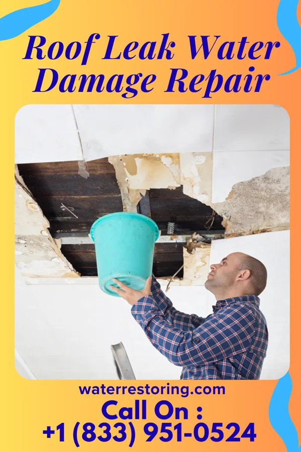 Roof Leak Water Damage Repair in Bolivia, NC