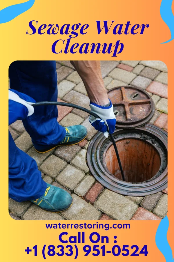 Sewage Water Cleanup in Bolivia, NC