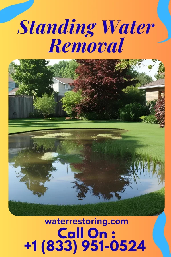 Standing Water Removal in Bolivia, NC